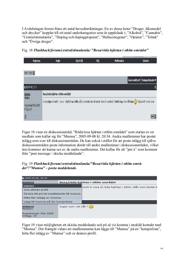 Narkotikaspaning på Internet Projekt Nicks 2005