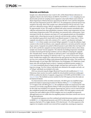Materials and Methods
Samples were collected between June 4 and 23, 2011, off the Shoals Marine Laboratory on
Appledore Island in the Gulf of Maine (42.9892°N, 70.6150°W) (S1 Table). Sampling was con-
ducted under permits for sampling marine organisms in the Gulf of Maine waters (State of
Maine Department of Marine Resources special license ME 2011-56-01 and New Hampshire
Fish and Game Department permit No. MFD 1117). No endangered or protected species were
sampled in this study. Most of the samples were collected between 9:30 am and noon. Cope-
pods were collected by towing a 200-μm zooplankton net behind a small boat at a slow speed
for approximately 10 min. The sample was diluted with surface seawater immediately upon
collection and poured into clean polyethylene containers. Surface water temperature was mea-
sured using a temperature probe (YSI) and salinity was measured with a refractometer. Upon
returning to the lab, the containers were kept at 4°C and copepods picked out of the plankton
samples under a dissecting microscope for molecular and microscopic analyses. Copepods
were identified to genus level, rinsed with 0.2 μm filtered seawater 2–3 times, then 1–10 live
copepods were placed in a tube with a mixture of 0.1—and 0.5—μm diameter sterile glass
beads (S1 Table) (these samples were termed ‘full gut copepods’). To study the influence of gut
contents on the overall microbiome, some copepods underwent a starvation period for removal
of gut contents. Copepods were picked to filtered seawater in petri dishes that were kept at 4°C
for 24–48 h, and the live copepods were then picked and preserved into tubes as above (these
samples were termed ‘starved copepods’). The relatively low holding temperature minimized
secondary bacterial growth during incubation, and was sufficient in keeping the copepods
alive. Hereafter these ‘starved’ copepods are referred to with ‘S’ and copepods with ‘full gut’,
preserved shortly after sampling, are referred to with ‘F’ (e.g. Acartia S and Acartia F, respec-
tively). Parallel water samples were collected from the same general area where the zooplank-
ton tows were conducted, by filling a polycarbonate bottle below the surface. The seawater was
filtered through a 0.2 μm Supor filter (Pall Gelman, Port Washington, NY) folded into a bead
beater tube with sterile glass beads (as above). Copepods and filtered seawater samples (S1
Table) were immediately placed in liquid nitrogen, and kept there until moved to -80°C for
long-term storage. Very few Calanus individuals were obtained in the samples, and only a set
of ‘Full gut’ individuals was included in the study.
DNA was extracted using the Qiagen Blood and Tissue kit with modifications (S1 Text).
Polymerase chain reaction was used to amplify the mitochondrial cytochrome oxidase gene
(COI) to confirm the identity of copepods, using primers LCO1490F and HCO2198R [21] (S1
Text, S2 Table). The GenBank accession numbers for the COI sequences from this study are
KT186356-KT186363.
For characterization of the microbial community, 16S rRNA gene was amplified using a
paired end amplicon sequencing procedure for Illumina MiSeq (S1 Text) employing the
V3-V4 region of the 16S rRNA gene [22]. The multiplexed sample was sequenced at the Tufts
University Core Facility using Illumina MiSeq V3 600 cycles paired end method. The samples
for this study were included in two separate sequencing runs, each in a set of a total of 96 sam-
ples multiplexed (pooled with samples from other studies). PCR with negative controls with
nuclease free water added in place of DNA template were run in parallel and sequenced,
although bands were not visible when the amplified products from these controls were run on
the gel electrophoresis.
The paired end sequences were first combined and initial downstream analyses conducted
in QIIME [23, 24]. Operational taxonomic unit (OTU) in this study was defined as group of
sequences that had a 97% or higher identity. OTUs that formed >1% of the sequences in the
negatives (no template controls) were removed from sample data, assuming any sequences
Stable and Transient Members in the Marine Copepod Microbiome
PLOS ONE | DOI:10.1371/journal.pone.0138967 September 22, 2015 3 / 17
 