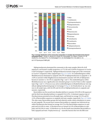 Alphaproteobacteria dominated the community in the water samples (48±6.4% of all
sequences), and formed a smaller proportion, at 17±2.4% and 13±8.0% of sequences in Acartia
S and Centropages S, respectively. Alphaproteobacteria formed a larger part of the community
in Acartia F compared to other copepod types (Fig 2, S3 Table). An unidentified genus within
Rhodobacteraceae dominated in copepods (39±27% of Alphaproteobacteria in copepods vs. 18
±4.0% in seawater) while Pelagibacteraceae dominated in seawater (49±18% of Alphaproteo-
bacteria in seawater vs. 16±13% in copepods) (Figs 3 and 5). The unidentified genus within
Rhodobacteraceae was a significantly more abundant group in Acartia F than in other copepod
types (Figs 4 and 5). A Paracoccus sp. and an unidentified genus in Bradyrhizobiaceae were sig-
nificant alphaproteobacterial groups in Centropages F (Fig 4). An Octadecabacter sp. was com-
mon in all sample types, with 24±18% and 24±16% of Alphaproteobacteria in copepods and
seawater, respectively.
Bacteroidetes was the second most abundant phylum in seawater (22±2.0% of all sequences)
and the third most abundant phylum in copepods (9.4±4.2%). A dominant sequence type of
Flavobacteriaceae persisted across all sample types, and formed on average 33±15% and 50
±12% of Bacteroidetes sequences in copepods and water samples, respectively (Fig 3, S3 Table).
The other major Bacteroidetes groups also had relatively similar relative abundances in seawa-
ter and copepods. The second most common Bacteroidetes in copepods was Sedinimicola sp.
within Flavobacteria that formed on average 18±17% of the Bacteroidetes sequences in cope-
pods and 6.4±4.0% in water. A Flavobacterium sp. formed 14±12% of Bacteroidetes in cope-
pods, and 10±2.0% in water. A Polaribacter sp. was the fourth most abundant Bacteroidetes in
both copepods and water. Porphyromonas sp. − anaerobic bacteria that were the fifth most
Fig 2. Average distribution of the community composition in samples discriminated at the phylum/
sub-phylum level. F, full gut; S, starved; Ac, Acartia; Ce, Centropages; Ca, Calanus. Acartia F (n = 9),
Acartia S (n = 6), Calanus F (n = 5), Centropages F (n = 4), Centropages S (n = 8), water (n = 5).
doi:10.1371/journal.pone.0138967.g002
Stable and Transient Members in the Marine Copepod Microbiome
PLOS ONE | DOI:10.1371/journal.pone.0138967 September 22, 2015 6 / 17
 