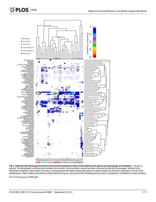 Fig 3. Heatmap with dendrograms (hierarchical clustering based on Bray-Curtis distance) for genus level groupings and samples. F, full gut; S,
starved. The dendrogram at the top demonstrates the similarity of communities in several samples of starved Acartia and Centropages, although time-
dependent variability is also present. Several co-varying genera with higher relative abundance in water samples are driving the separation from the other
sample types. Higher relative abundance of Pseudoalteromonas sp. and several other bacterial genera is seen in copepods in comparison to water samples.
doi:10.1371/journal.pone.0138967.g003
Stable and Transient Members in the Marine Copepod Microbiome
PLOS ONE | DOI:10.1371/journal.pone.0138967 September 22, 2015 7 / 17
 