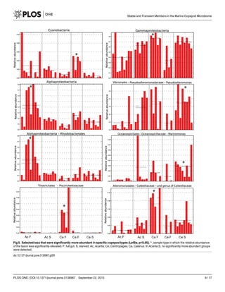Fig 5. Selected taxa that were significantly more abundant in specific copepod types (LefSe, p<0.05). *, sample type in which the relative abundance
of the taxon was significantly elevated. F, full gut; S, starved; Ac, Acartia; Ce, Centropages; Ca, Calanus. In Acartia S, no significantly more abundant groups
were detected.
doi:10.1371/journal.pone.0138967.g005
Stable and Transient Members in the Marine Copepod Microbiome
PLOS ONE | DOI:10.1371/journal.pone.0138967 September 22, 2015 9 / 17
 