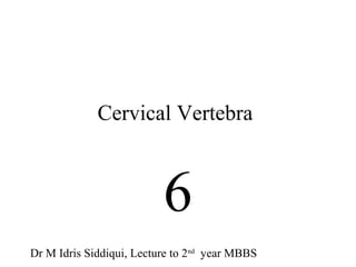 Cervical Vertebra
6
Dr M Idris Siddiqui, Lecture to 2nd
year MBBS
 