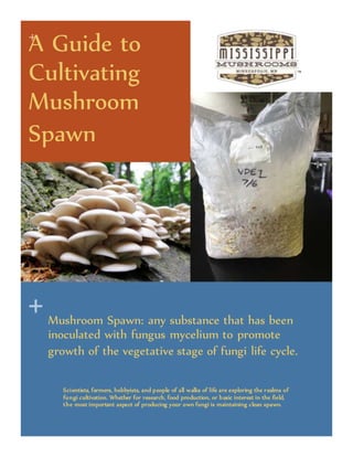 +
+
A Guide to
Cultivating
Mushroom
Spawn
Mushroom Spawn: any substance that has been
inoculated with fungus mycelium to promote
growth of the vegetative stage of fungi life cycle.
Scientists, farmers, hobbyists, and people of all walks of life are exploring the realms of
fungi cultivation. Whether for research, food production, or basic interest in the field,
the most important aspect of producing your own fungi is maintaining clean spawn.
 