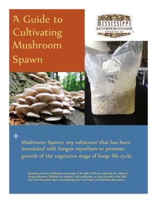 mush spawn cultivation complete | PDF