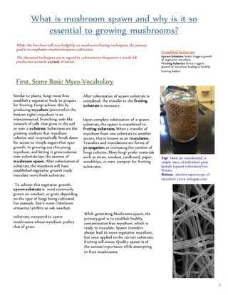 mush spawn cultivation complete | PDF