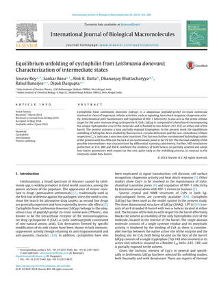 International Journal of Biological Macromolecules 69 (2014) 353–360
Contents lists available at ScienceDirect
International Journal of Biological Macromolecules
journal homepage: www.elsevier.com/locate/ijbiomac
Equilibrium unfolding of cyclophilin from Leishmania donovani:
Characterization of intermediate states
Sourav Roya,1
, Sankar Basua,1
, Alok K. Dattab
, Dhananjay Bhattacharyyaa,1
,
Rahul Banerjeea,∗
, Dipak Dasguptaa,∗
a
Saha Institute of Nuclear Physics, 1/AF Bidhannagar, Kolkata 700064, West Bengal, India
b
Indian Institute of Chemical Biology, 4, Raja S.C. Mullick Road, Kolkata 700032, West Bengal, India
a r t i c l e i n f o
Article history:
Received 7 March 2014
Received in revised form 20 May 2014
Accepted 24 May 2014
Available online 2 June 2014
Keywords:
Cyclophilin
Intermediate
Protein unfolding
a b s t r a c t
Cyclophilin from Leishmania donovani (LdCyp) is a ubiquitous peptidyl-prolyl cis-trans isomerase
involved in a host of important cellular activities, such as signaling, heat shock response, chaperone activ-
ity, mitochondrial pore maintenance and regulation of HIV-1 infectivity. It also acts as the prime cellular
target for the auto-immune drug cyclosporine A (CsA). LdCyp is composed of a beta barrel encompassing
the unique hydrophobic core of the molecule and is ﬂanked by two helices (H1, H2) on either end of the
barrel. The protein contains a lone partially exposed tryptophan. In the present work the equilibrium
unfolding of LdCyp has been studied by ﬂuorescence, circular dichroism and the non-coincidence of their
respective Cm’s, indicates a non-two state transition. This fact was further corroborated by binding studies
of the protein with bis-ANS and the lack of an isochromatic point in far UV CD. The thermal stability of the
possible intermediates was characterized by differential scanning calorimetry. Further, MD simulations
performed at 310, 400 and 450 K exhibited the tendency of both helices to partially unwind and adopt
non-native geometries with respect to the core, quite early in the unfolding process, in contrast to the
relatively stable beta barrel.
© 2014 Elsevier B.V. All rights reserved.
1. Introduction
Leishmaniasis, a broad spectrum of diseases caused by Leish-
mania spp. is widely prevalent in third world countries, among the
poorer sections of the populace. The appearance of strains resis-
tant to drugs (pentavalent antimonials) [1], traditionally used as
the ﬁrst line of defense against the pathogen, stress the need to con-
tinue the search for alternative drug targets, as second line drugs
are generally expensive and have reportedly severe side effects [2].
Cyclophilin from Leishmania donovani (LdCyp) belongs to the ubiq-
uitous class of peptidyl-prolyl cis-trans isomerases (PPIases), also
known to be the intracellular receptor of the immunosuppress-
ive drug cyclosporine A (CsA), a cyclic undecapeptide constituted
of non-natural amino acids. CsA derivatives formed by speciﬁc
modiﬁcation of its side chains have been shown to lack immuno-
suppressive activity though retaining its anti-trypanosomatid and
anti-parasitic character [3,4]. In addition, cyclophilins have also
∗ Corresponding authors. Tel.: +91 33 2337 5345; fax: +91 33 2337 4637.
E-mail addresses: rahul.banerjee@saha.ac.in (R. Banerjee),
dipak.dasgupta@saha.ac.in (D. Dasgupta).
1
Tel.: +91 33 2337 5345; fax: +91 33 2337 4637.
been implicated in signal transduction, cell division, cell surface
recognition, chaperone activity and heat shock response [5]. Other
studies show Cyp’s to be involved in the maintenance of mito-
chondrial transition pores [6] and regulation of HIV-1 infectivity
by functional association with HIV-1 virions in humans [7].
Several crystal and NMR structures of CyPs in both lig-
ated/unligated forms are currently available [8,9]. Cyclophilin
(LdCyp) has been used as the model system in the present study.
The three dimensional structure of LdCyp (2HAQ: 1.97 ˚A) [10] con-
sists of an 8 stranded ß-barrel with two ␣ helices located at either
end. The location of the helices with respect to the barrel effectively
blocks the solvent accessibility of the only hydrophobic core of the
molecule, located in the interior of the barrel. The single domain
molecule consists of a single cysteine residue and its enzymatic
activity is hindered by the binding of CsA as there is consider-
able overlap between the native active site of the enzyme and the
binding site for CsA, both being located on the face of the barrel.
LdCyp consists of a single tryptophan (Trp 143 also involved in its
active site) which is situated on a ﬂexible 310 helix (141–145) and
is partially exposed to the solvent.
Given the intrinsic interest of Cyp’s in general and speciﬁ-
cally in Leishmania, LdCyp has been selected for unfolding studies,
both thermally and with denaturant. There are reports of thermal
http://dx.doi.org/10.1016/j.ijbiomac.2014.05.063
0141-8130/© 2014 Elsevier B.V. All rights reserved.
 