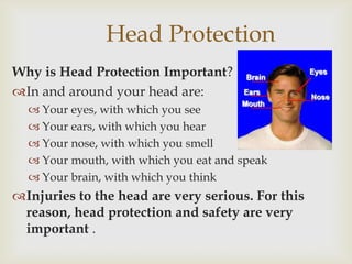 Head Protection
Why is Head Protection Important?
In and around your head are:
 Your eyes, with which you see
 Your ears, with which you hear
 Your nose, with which you smell
 Your mouth, with which you eat and speak
 Your brain, with which you think
Injuries to the head are very serious. For this
reason, head protection and safety are very
important .
 
