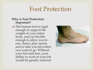 Foot Protection
Why is Foot Protection
Important?
 The human foot is rigid
enough to support the
weight of your entire
body, and yet flexible
enough to allow you to
run, dance, play sports,
and to take you anywhere
you want to go. Without
your feet and toes, your
ability to work at your job
would be greatly reduced.
 