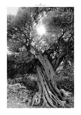 04
2012 ETESIAN GOLD
 