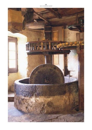 08
2012 ETESIAN GOLD
 