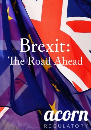 Brexit:
The Road Ahead
 