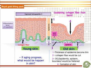 Caprooyl-tetrapeptide-3
Differentiation
factor
of ingredient
(sustaining collagen fiber from
harm)
Young skin Dermi
s
DEJEpidermis Old skin
- If aging progress,
what would be happen
in skin?
1-Thickness of epidermis become thin
1
4- formation of skin
4
2- collagen fiber would be cut
2
3- DEJ(epidermis, epiderm,
boundary) would be flattened
3
Collagen fiber
epid
ermi
s
epiderm
Royal gold lifting pack
 