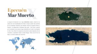 Epecuén
MarMuertoLa laguna de Epecuén es un lago endorreico salado, situado en la
cuenca de Las Encadenadas Del Oeste. Ocupa la parte más profunda
de una depresión tectónica que también incluye las lagunas Alsina y
Guaminí. Los Mapuches lo llamaban Epe (casi) - Cuen (asa o quema)
por la sensación que causa el agua hipersalina en la piel al sumergirse
en ella. A las orillas de la laguna se encuentran vastos depósitos de sal
conocidos y explotados desde la Edad Antigua. Tiene unos 20 km de
largo y un ancho máximo de unos 8 km.
XEpecuén
MarMuerto
 
