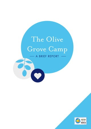 The Olive
Grove Camp
A brief report
 
