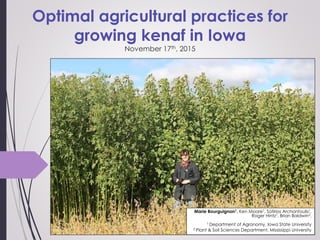 Optimal agricultural practices for
growing kenaf in Iowa
November 17th, 2015
Marie Bourguignon1, Ken Moore1, Sotirios Archontoulis1,
Roger Hintz1, Brian Baldwin2.
1 Department of Agronomy, Iowa State University
2 Plant & Soil Sciences Department, Mississippi University
 