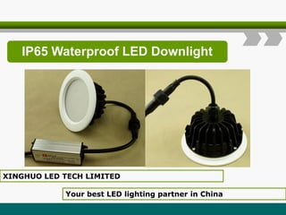 IP65 Waterproof LED Downlight
XINGHUO LED TECH LIMITED
Your best LED lighting partner in China
 