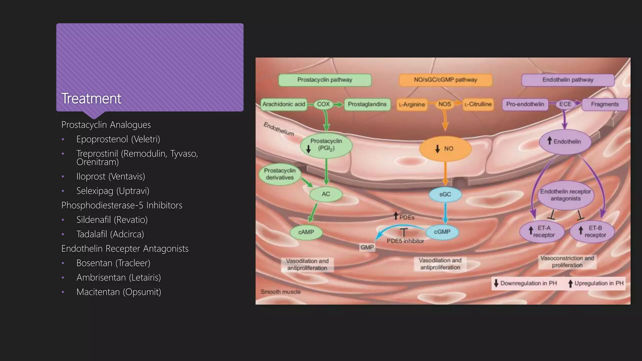 Treatment
Prostacyclin Analogues
• Epoprostenol (Veletri)
• Treprostinil (Remodulin, Tyvaso,
Orenitram)
• Iloprost (Ventavis)
• Selexipag (Uptravi)
Phosphodiesterase-5 Inhibitors
• Sildenafil (Revatio)
• Tadalafil (Adcirca)
Endothelin Recepter Antagonists
• Bosentan (Tracleer)
• Ambrisentan (Letairis)
• Macitentan (Opsumit)
 