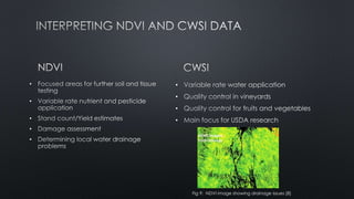 •
•
•
•
•
•
•
•
•
Fig 9: NDVI image showing drainage issues [8]
 