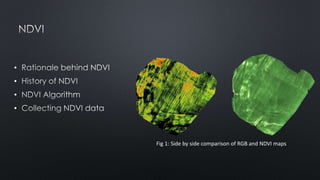 •
•
•
•
Fig 1: Side by side comparison of RGB and NDVI maps
 