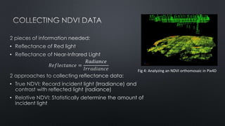•
•
•
•
Fig 4: Analyzing an NDVI orthomosaic in Pix4D
 