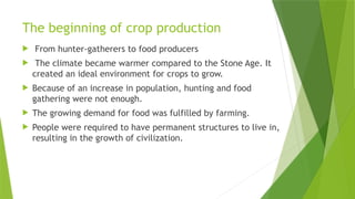The beginning of crop production
 From hunter-gatherers to food producers
 The climate became warmer compared to the Stone Age. It
created an ideal environment for crops to grow.
 Because of an increase in population, hunting and food
gathering were not enough.
 The growing demand for food was fulfilled by farming.
 People were required to have permanent structures to live in,
resulting in the growth of civilization.
 