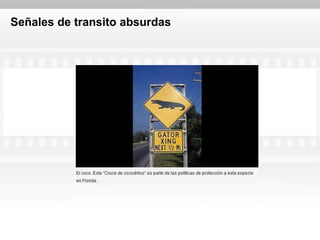 Señales de transito absurdas
 