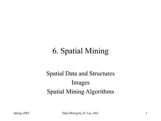 C6Spa.ppt
