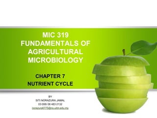 MIC 319
FUNDAMENTALS OF
AGRICULTURAL
MICROBIOLOGY
CHAPTER 7
NUTRIENT CYCLE
BY
SITI NORAZURA JAMAL
03 006/ 06 483 2132
norazura6775@ns.uitm.edu.my

 