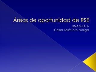 Áreas de oportunidad de RSE UNAM.FCA César Telésforo Zúñiga 