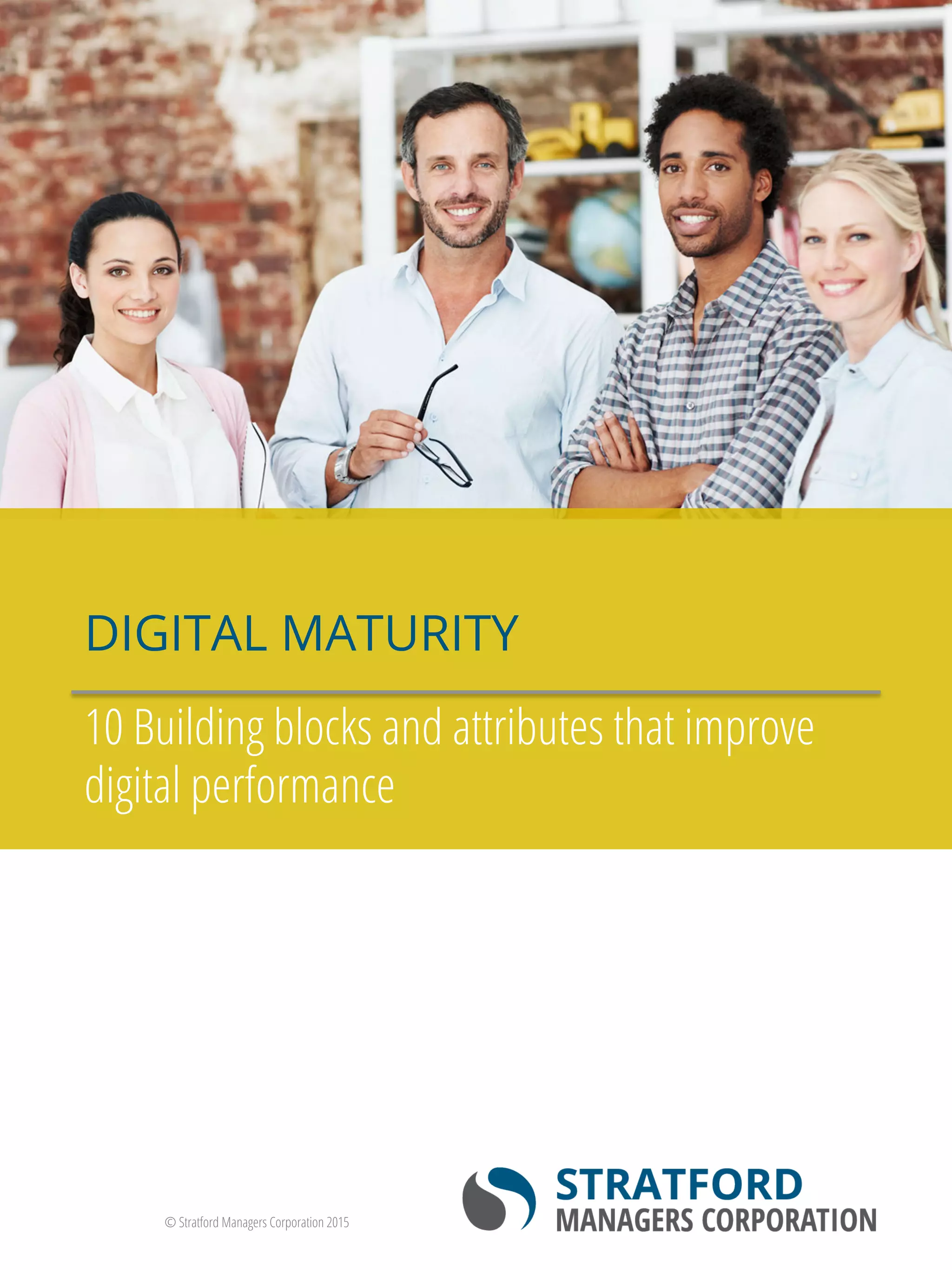 Building Blocks of Digital Maturity | PDF