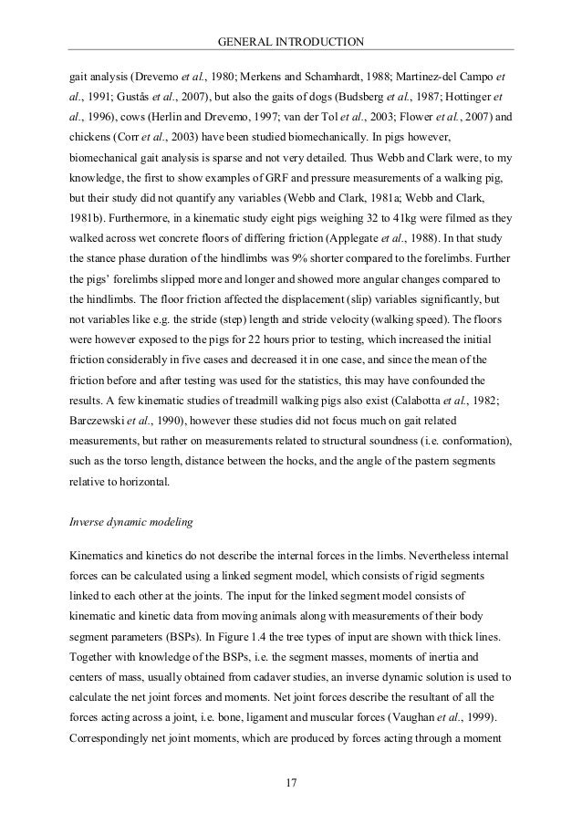 Gait analysis template picture