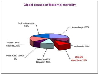c71751cf-7bbc-4dbb-be64-04ae368911eb (1).docx