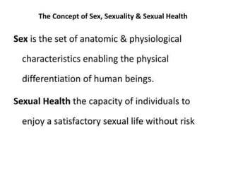 c71751cf-7bbc-4dbb-be64-04ae368911eb (1).docx