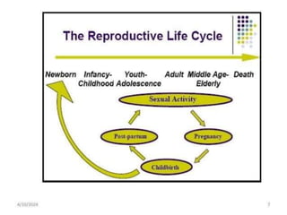 c71751cf-7bbc-4dbb-be64-04ae368911eb (1).docx