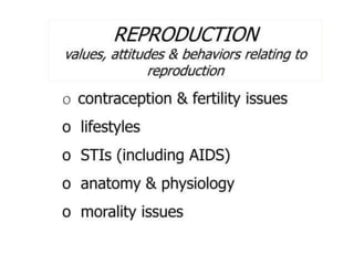 c71751cf-7bbc-4dbb-be64-04ae368911eb (1).docx