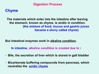 Chyme
The materials which enter into the intestine after leaving
the stomach, known as chyme, is acidic in condition.
(the mixture of food, mucus and gastric juices
became a slurry called chyme)
But intestinal enzymes work in alkaline condition.
In intestine, alkaline condition is created due to :
- Bile, the secretion of liver which is stored in gall bladder
- Bicarbonate buffering compounds from pancreas, which
neutralize the acidic chyme
Digestion Process
 