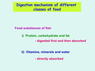Digestion mechanism of different
classes of food
Food substances of fish
i) Protein, carbohydrate and fat
- digested first and then absorbed
ii) Vitamins, minerals and water
- directly absorbed
 