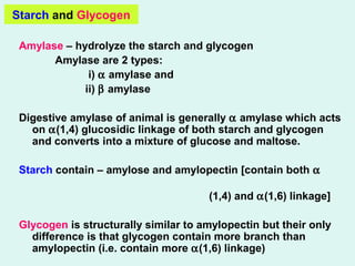 Starch and Glycogen
Amylase – hydrolyze the starch and glycogen
Amylase are 2 types:
i) α amylase and
ii) β amylase
Digestive amylase of animal is generally α amylase which acts
on α(1,4) glucosidic linkage of both starch and glycogen
and converts into a mixture of glucose and maltose.
Starch contain – amylose and amylopectin [contain both α
(1,4) and α(1,6) linkage]
Glycogen is structurally similar to amylopectin but their only
difference is that glycogen contain more branch than
amylopectin (i.e. contain more α(1,6) linkage)
 