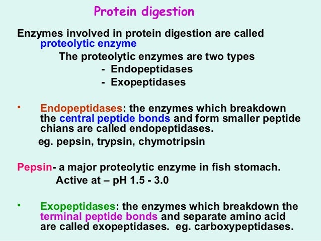 digestion
