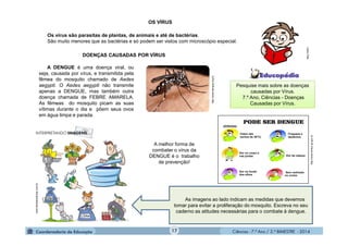 Ciências - 7.º Ano / 2.º BIMESTRE - 2014Ciências - 7.º Ano / 2.º BIMESTRE - 2014
Os vírus são parasitas de plantas, de animais e até de bactérias.
São muito menores que as bactérias e só podem ser vistos com microscópio especial.
DOENÇAS CAUSADAS POR VÍRUS
MULTIRIO
A DENGUE é uma doença viral, ou
seja, causada por vírus, e transmitida pela
fêmea do mosquito chamado de Aedes
aegypti. O Aedes aegypti não transmite
apenas a DENGUE, mas também outra
doença chamada de FEBRE AMARELA.
As fêmeas do mosquito picam as suas
vítimas durante o dia e põem seus ovos
em água limpa e parada.
http://www.dengue.org.br
www.faroldenoticias.com.br
As imagens ao lado indicam as medidas que devemos
tomar para evitar a proliferação do mosquito. Escreva no seu
caderno as atitudes necessárias para o combate à dengue.
A melhor forma de
combater o vírus da
DENGUE é o trabalho
de prevenção!
http://www.timbui.sp.gov.br
Pesquise mais sobre as doenças
causadas por Vírus.
7.º Ano, Ciências - Doenças
Causadas por Vírus.
OS VÍRUS
17
 