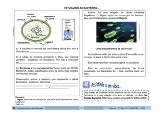 Ciências - 7.º Ano / 2.º BIMESTRE - 2014Ciências - 7.º Ano / 2.º BIMESTRE - 2014
a) A bactéria é formada por uma única célula. Por isso é
chamada de ___________________________.
b) A célula da bactéria apresenta o DNA, seu material
genético, espalhado no citoplasma. Por isso é chamada
de_______________________________.
As Bactérias e as cianobactérias fazem parte do REINO
MONERA. Estão classificadas entre os seres mais simples
conhecidos até hoje.
Observando, acima, o desenho que representa a célula
bacteriana, podemos identificar ____________________,
_____________________, _________________________,
________________, ________ e ______________.
MEMBRANA
CELULAR
PAREDE
CELULAR
CÁPSULA
FLAGELORIBOSSOMOS
http://www.seara.ufc.br Abaixo, há uma imagem de várias bactérias
flageladas. O flagelo ajuda na locomoção da bactéria.
Mas nem toda bactéria apresenta flagelo.
Onde encontramos as bactérias?
As bactérias estão por toda a parte! Elas estão no ar,
no solo, na água e dentro dos seres vivos.
Elas desempenham variados papéis no ambiente.
Elas se reproduzem, principalmente, de forma
assexuada, por bipartição (bi = dois; significa partir em
dois).
http://www.infoescola.com/
ESTUDANDO AS BACTÉRIAS...
Veja como as bactérias estão inseridas no dia a dia dos seres
humanos e a sua relação com todo o planeta, no filme Na
Escola: bactérias (http://www.youtube.com/watch?v=ifdE0wnDl34)Glossário
- flagelo: estrutura em forma de fio que serve para impulsionar a célula
bacteriana;
- uni: um.
21
 