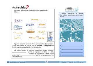 Ciências - 7.º Ano / 2.º BIMESTRE - 2014Ciências - 7.º Ano / 2.º BIMESTRE - 2014
Vamos identificar as formas
das células bacterianas nas imagens
abaixo.
a) _____________________________
b) _____________________________
c) _____________________________
d) _____________________________
http://www.infoescola.com/
As células das bactérias podem ter formas diferenciadas.
Observe:
Algumas bactérias possuem forma arredondada: são os cocos.
Outras têm formato de vírgula: são os vibriões. Os espirilos têm
formato espiral e os bacilos têm forma de bastão.
Os cocos podem se agrupar, recebendo nomes especiais:
___________________ quando se agrupam de dois em dois,
_______________________ quando se agrupam em fileiras, como
em um colar e ____________________ quando se agrupam como em
um cacho de uva.
http://www.dbio.uevora.pt/
AGORA,
É COM VOCÊ!!!
a b
c d
23
 