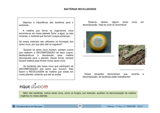 Ciências - 7.º Ano / 2.º BIMESTRE - 2014Ciências - 7.º Ano / 2.º BIMESTRE - 2014
BACTÉRIAS RECICLADORAS
Observe, abaixo, alguns seres vivos em
decomposição. Veja se você os reconhece!
_________________________
___________________
Essas situações demonstram que, durante a
decomposição, as bactérias estão trabalhando!
www.cas.miamioh.edu
Vejamos a importância das bactérias para o
ambiente...
A matéria que forma os organismos vivos
encontra-se em nosso planeta Terra: a água, os sais
minerais, o material que formam nossas proteínas...
Se esses materiais são utilizados na formação dos
seres vivos, por que eles não se esgotam?
Quando os seres vivos morrem, existem outros
que realizam a DECOMPOSIÇÃO de seus corpos,
desfazendo-os e devolvendo essa matéria
decomposta para o planeta. Dessa forma, sempre
haverá matéria para formar novos seres vivos.
As bactérias são seres vivos que participam da
DECOMPOSIÇÃO dos seres que morrem. Elas
fazem a RECICLAGEM da matéria que existe em
nosso planeta, evitando que ela se acabe.
flickrhivemind.net
Além das bactérias, outros seres vivos, como os fungos, por exemplo, auxiliam na decomposição da matéria
orgânica no nosso planeta.
27
 