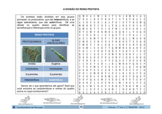 Ciências - 7.º Ano / 2.º BIMESTRE - 2014Ciências - 7.º Ano / 2.º BIMESTRE - 2014
A DIVISÃO DO REINO PROTISTA
Os protistas estão divididos em dois grupos
principais: os protozoários, que são heterotróficos, e as
algas unicelulares, que são autotróficas. Dê uma
olhada no quadro abaixo para identificar as
semelhanças e diferenças entre os grupos.
Vamos ver o que aprendemos até agora? Será que
você encontra as características e nomes do quadro
acima no caça-conhecimento?
Q M U G	 C	 W J K I T C X J K M B C A S	
V R E I N	 O P R O T I S T A P H G C Z	
A S D F	 G	 H J K L P O I U Y T R E W Q	
M M N B	 V	 C X Z L É K J H G F D S A P	
Q W E R	 T	 Y U I O P M J C D F G H J S	
H T E W	 F	 H K M B C D Q R I L V X Q O	
V C X S	 D	 L J G S Q E T Y I P A L J I	
A Z C B	 M	 T Á P I Y R E Q L J M G D R	
U M B C	 Z	 N V X S F H K O U T E E Q Á	
T W R Y	 I	 O L A K S J D H F G B P Q O	
O O W I E	 U R Y T Q M W N E B A R V Z	
T O C I F	 Ó R T O R E T E H T C Y X O	
R U Z I A	 O S P D M F N G B H V J C T	
Ó K H G	 D	 K P O A U N V C D K L D B O	
F V N Y	 R	 I L P Y Z Q A E Í O U A B R	
I C D E	 F	 G H I J K L M N O P Q R S P	
C T U V	 W	 X Y Z A S D F Ç L K J H Q W	
O E R T	 E	 U C A R I O N T E S Y U I O	
P O I U	 M	 N B V C X Z L K J H G F Ú A	
P Z X Ó	 C	 V B N M L K J H G F D Q E T	
U O P Q	 A	 Z W S X E D C R F V T G B Y	
H A N E	 L	 G U E N U J M I K O L P Z A	
Q X S W	 C	 D E V F R B G T N H Y M J U	
K I L O	 P	 P L O K M I J N U H B T F C	
R A L G	 A	 S U N I C E L U L A R E S Ó	
	
https://lookfordiagnosis.comhttps://lookfordiagnosis.comhttps://lookfordiagnosis.com
http://www.biology-resources.com http://www.biology-resources.com
30
 