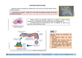 Ciências - 7.º Ano / 2.º BIMESTRE - 2014Ciências - 7.º Ano / 2.º BIMESTRE - 2014
Muitas amebas são parasitas, alojam-se no intestino e podem causar
doenças com os seguintes sintomas: diarreia, febre e emagrecimento.
A amebíase pode ser transmitida por meio da ingestão de água ou de
alimentos contaminados por fezes.
Novamente as amebas! Dessa vez, vamos falar de algumas amebas que causam
problemas orgânicos.
klikeducaçãp.com.br
PROTISTAS PERTO DE NÓS
Algumas doenças causadas por protistas são muito comuns no Rio de Janeiro. Vamos
conhecer algumas.
ENTAMOEBA HISTOLYTICA:
causador da amebíase
http://www.todabiologia.com/doencas/amebiase.htm
Algumas formas de prevenção da
amebíase:
- não consumir água de fonte
duvidosa;
- higienizar bem verduras, frutas e
legumes antes de consumi-los;
- lavar bem as mãos antes de
manipular qualquer tipo de alimento
e, principalmente, após utilizar o
banheiro.
www.saudemedicina.com
35
 