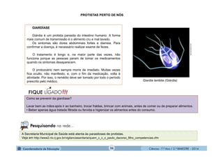 Ciências - 7.º Ano / 2.º BIMESTRE - 2014Ciências - 7.º Ano / 2.º BIMESTRE - 2014
GIARDÍASE
Giárdia é um protista parasita do intestino humano. A forma
mais comum de transmissão é o alimento cru e mal lavado.
Os sintomas são dores abdominais fortes e diarreia. Para
confirmar a doença, é necessário realizar exame de fezes.
O tratamento é longo e, na maior parte das vezes, não
funciona porque as pessoas param de tomar os medicamentos
quando os sintomas desaparecem.
O protozoário nem sempre morre de imediato. Muitas vezes
fica oculto, não manifesto, e, com o fim da medicação, volta à
atividade. Por isso, o remédio deve ser tomado por todo o período
prescrito pelo médico.
A Secretaria Municipal de Saúde está atenta às parasitoses de protistas.
Veja em http://www2.rio.rj.gov.br/vigilanciasanitaria/quem_c_c_z_paulo_dacorso_filho_competencias.cfm
Giardia lamblia (Giárdia)
www.deviantart.com
PROTISTAS PERTO DE NÓS
Como se prevenir da giardíase?
Lavar bem as mãos após ir ao banheiro, trocar fraldas, brincar com animais, antes de comer ou de preparar alimentos.
• Beber apenas água tratada filtrada ou fervida e higienizar os alimentos antes do consumo.
Pesquisando na rede...
36
 