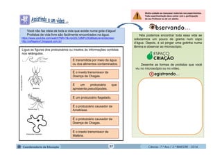 Ciências - 7.º Ano / 2.º BIMESTRE - 2014Ciências - 7.º Ano / 2.º BIMESTRE - 2014
Nós podemos encontrar toda essa vida se
colocarmos um pouco de grama num copo
d’água. Depois, é só pingar uma gotinha numa
lâmina e observar ao microscópio.
Você não faz ideia de toda a vida que existe numa gota d’água!
Protistas de vida livre são facilmente encontrados na água.
https://www.youtube.com/watch?NR=1&v=pQ3LCdMPU3Q&feature=endscreen
http://osflagelos1.blogspot.com.br/
ESPAÇO
CRIAÇÃO
Desenhe as formas de protistas que você
viu no microscópio ou no vídeo.
Ligue as figuras dos protozoários ou insetos às informações contidas
nos retângulos.
www.portalescolar.net
Entamoeba histolytica
É o inseto transmissor da
Malária.
É o inseto transmissor da
Doença de Chagas.
É um protozoário que
apresenta pseudópodes.
É um protozoário flagelado.
É o protozoário causador da
Amebíase.
É o protozoário causador da
Doença de Chagas.
É transmitida por meio da água
ou dos alimentos contaminados.
Muito cuidado ao manusear materiais nos experimentos.
Toda experimentação deve contar com a participação
do seu Professor ou de um adulto.
37
 