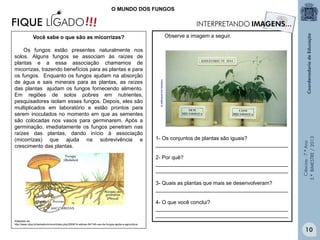Ciências-7.ºAno
3.ºBIMESTRE/2013
O MUNDO DOS FUNGOS
Observe a imagem a seguir.
1- Os conjuntos de plantas são iguais?
_____________________________________________
2- Por quê?
_____________________________________________
_____________________________________________
3- Quais as plantas que mais se desenvolveram?
_____________________________________________
4- O que você conclui?
_____________________________________________
_____________________________________________
hotsites.sct.embrapa.br
10
Você sabe o que são as micorrizas?
Os fungos estão presentes naturalmente nos
solos. Alguns fungos se associam às raízes de
plantas e a essa associação chamamos de
micorrizas, trazendo benefícios para as plantas e para
os fungos. Enquanto os fungos ajudam na absorção
de água e sais minerais para as plantas, as raízes
das plantas ajudam os fungos fornecendo alimento.
Em regiões de solos pobres em nutrientes,
pesquisadores isolam esses fungos. Depois, eles são
multiplicados em laboratório e estão prontos para
serem inoculados no momento em que as sementes
são colocadas nos vasos para germinarem. Após a
germinação, imediatamente os fungos penetram nas
raízes das plantas, dando início à associação
(micorrizas) que ajuda na sobrevivência e
crescimento das plantas.
Adaptado de:
http://www.ufpa.br/beiradorio/novo/index.php/2008/14-edicao-64/148-uso-de-fungos-ajuda-a-agricultura
www.infoescola.com
 