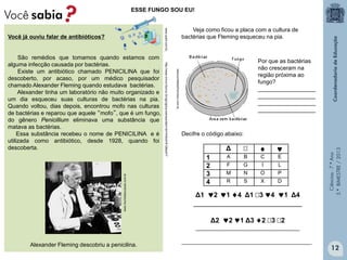 Ciências-7.ºAno
3.ºBIMESTRE/2013
ESSE FUNGO SOU EU!
Δ ♦ ♥
1 A B C E
2 F G I L
3 M N O P
4 R S X D
Veja como ficou a placa com a cultura de
bactérias que Fleming esqueceu na pia.
Decifre o código abaixo:
Δ1 ♥2 ♥1 ♦4 Δ1 3 ♥4 ♥1 Δ4
_____________________________
Δ2 ♥2 ♥1 Δ3 ♦2 3 2
____________________________________
_____________________________________________
Você já ouviu falar de antibióticos?
São remédios que tomamos quando estamos com
alguma infecção causada por bactérias.
Existe um antibiótico chamado PENICILINA que foi
descoberto, por acaso, por um médico pesquisador
chamado Alexander Fleming quando estudava bactérias.
Alexander tinha um laboratório não muito organizado e
um dia esqueceu suas culturas de bactérias na pia.
Quando voltou, dias depois, encontrou mofo nas culturas
de bactérias e reparou que aquele “mofo”, que é um fungo,
do gênero Penicillium eliminava uma substância que
matava as bactérias.
Essa substância recebeu o nome de PENICILINA e é
utilizada como antibiótico, desde 1928, quando foi
descoberta.
Alexander Fleming descobriu a penicilina.
www.mundoeducacao.com.br
www.qued.com.brhttp://www.invivo.fiocruz.br/cgi/cgilua.exe/sys/start.htm?infoid=812&sid=7
Por que as bactérias
não cresceram na
região próxima ao
fungo?
__________________
__________________
__________________
__________________
12
www.portalsaofrancisco.com.br
 