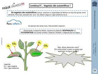 Ciências-7.ºAno
3.ºBIMESTRE/2013
18
Observando o esquema abaixo, escreva as palavras: RESPIRAÇÃO ou
FOTOSSÍNTESE nos locais corretos. Observe, também, a legenda que se segue:
Mas, afinal, planta tem nariz?
Por onde entram e saem os gases que
aparecem na figura ao lado?
Lembrou?!... Vegetais são autotróficos !
Os vegetais são autotróficos porque possuem a capacidade de fabricar um tipo de açúcar como
alimento. Para isso, precisam de luz e de utilizar a água e o gás carbônico do ar.
!!!
FIQUE LIGADO
As plantas são seres vivos. Elas também respiram.
dc176.4shared.com
Legenda:
O2 = gás oxigênio
CO2 = gás carbônico
 